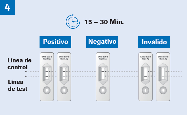 El resultado de la prueba se puede leer pasados 15-30 minutos.